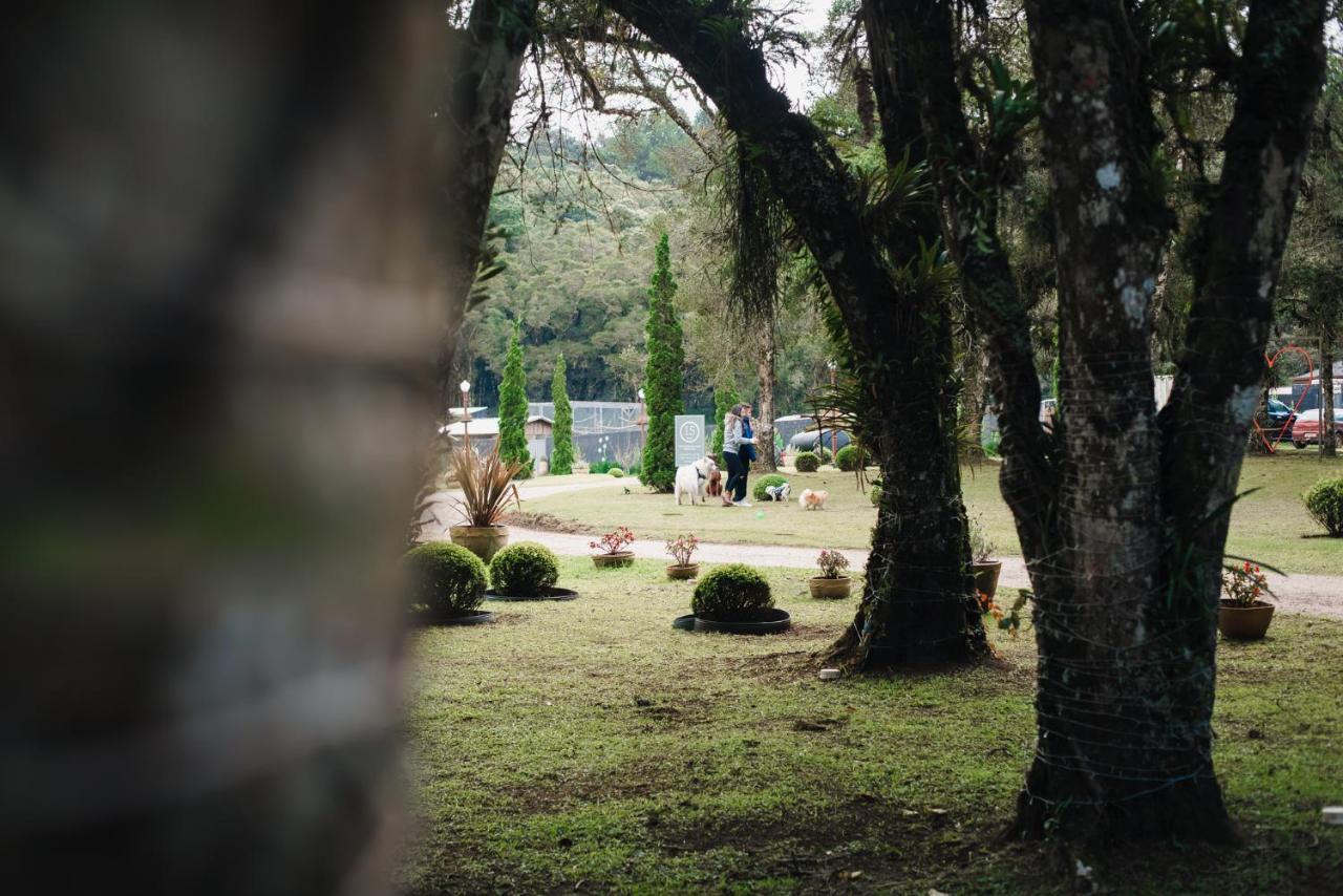 Pousada Röhsler Monte Verde  Bagian luar foto